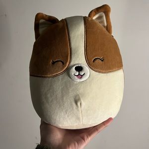 NWT 8” Regina Corgi Squishmallow 🐕